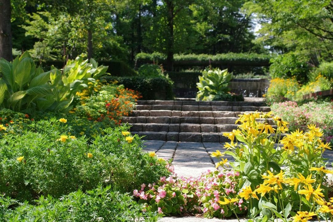Jardin Harmonie 10