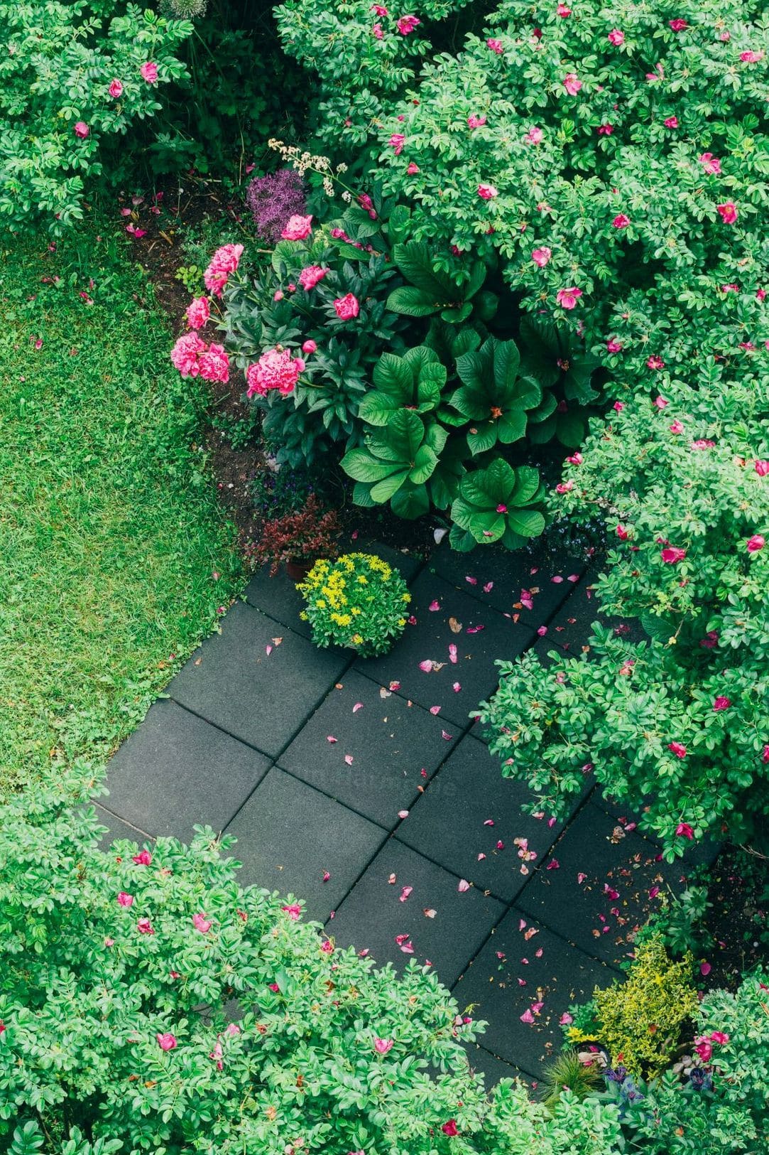 Jardin Harmonie 6